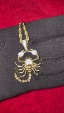 Scorpion Cubic / Pingente Premium